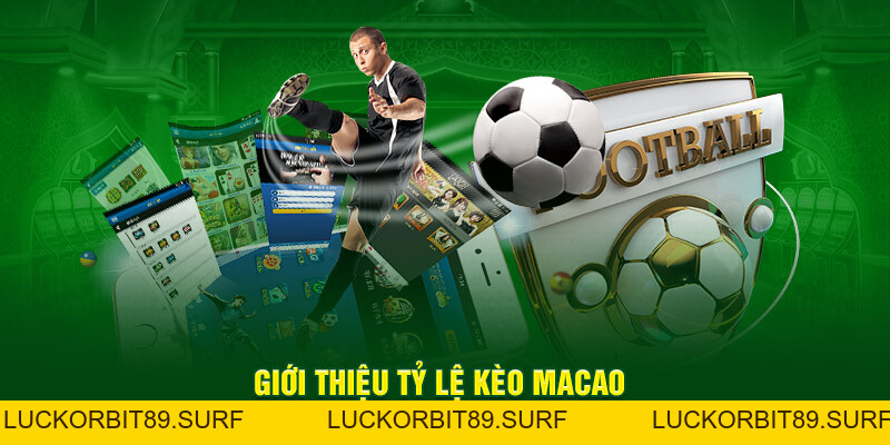 Tỷ Lệ Kèo Macao Mới Nhất 2026 Được Cung Cấp Bởi OK9 - Luckorbit89