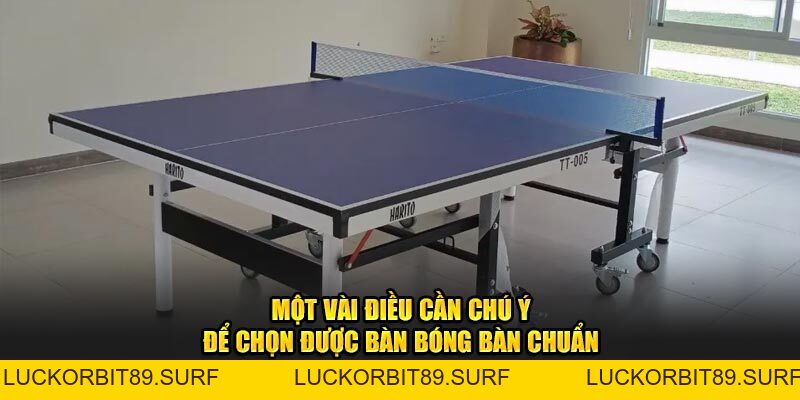 Bàn Bóng Bàn Chuẩn - Bí Quyết Chọn Lựa Phù Hợp Cùng OK9 - Luckorbit89